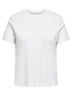 CARJEN Top