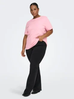 CARJEN Top