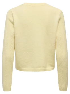 JDYAPRIL Vest