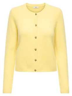 JDYCHLOE Vest