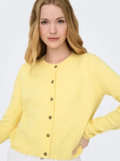 JDYCHLOE Vest
