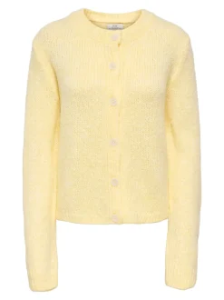 JDYDINEA Vest