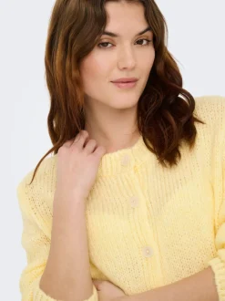 JDYDINEA Vest