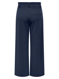 JDYGEGGO Regular fit Broeken