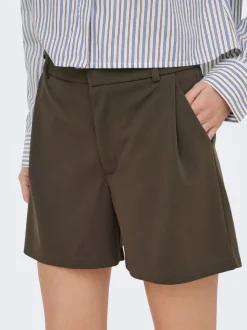 JDYGEGGO Regular fit Shorts