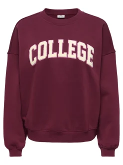 JDYMESA Sweatshirt