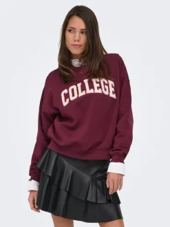 JDYMESA Sweatshirt