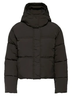 JDYNARNI Puffer jacket