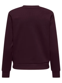 JDYPARIS Sweatshirt